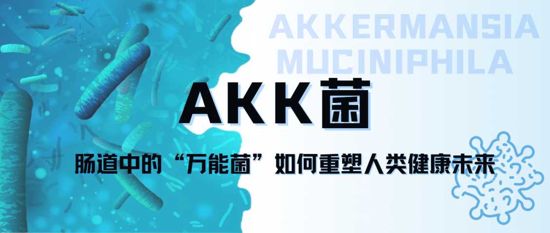 AKK菌：肠道中的“万能菌”如何重塑人类健康未来,进口AKK菌代工，AKK益生菌代加工，nmn进口益生菌OEM（香港工厂海外膳食补充剂全链路OEM定制代工）